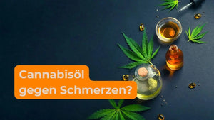 Cannabisöl Schmerzen