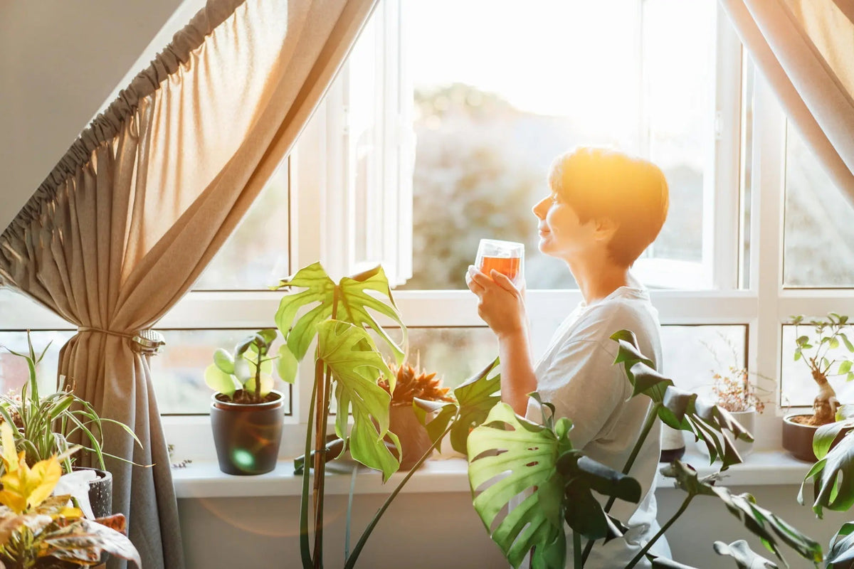 Eine Frau genießt Hanftee an einem großen Fenster.