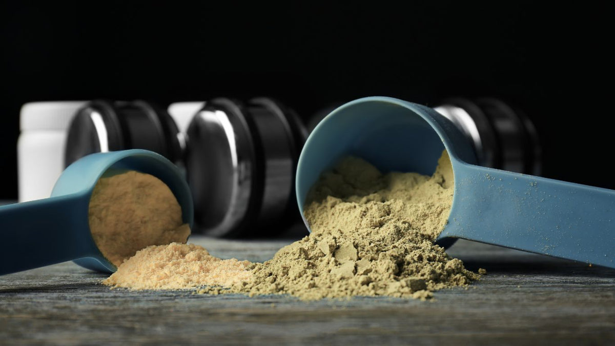 Hanfprotein