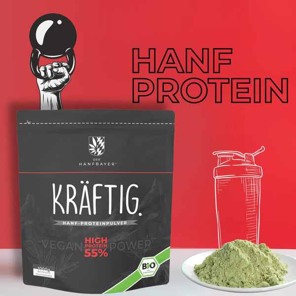 Hanfprotein | Bio & vegan | KRÄFTIG.