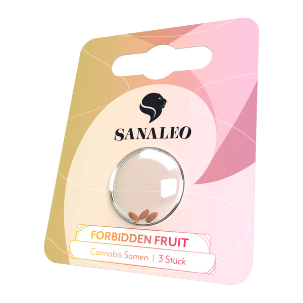 Autoflower Samen Deutschland kaufen