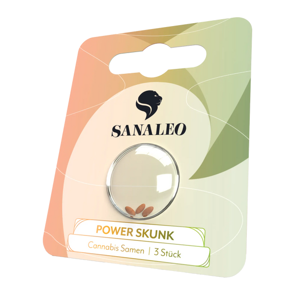 Autoflower Samen kaufen