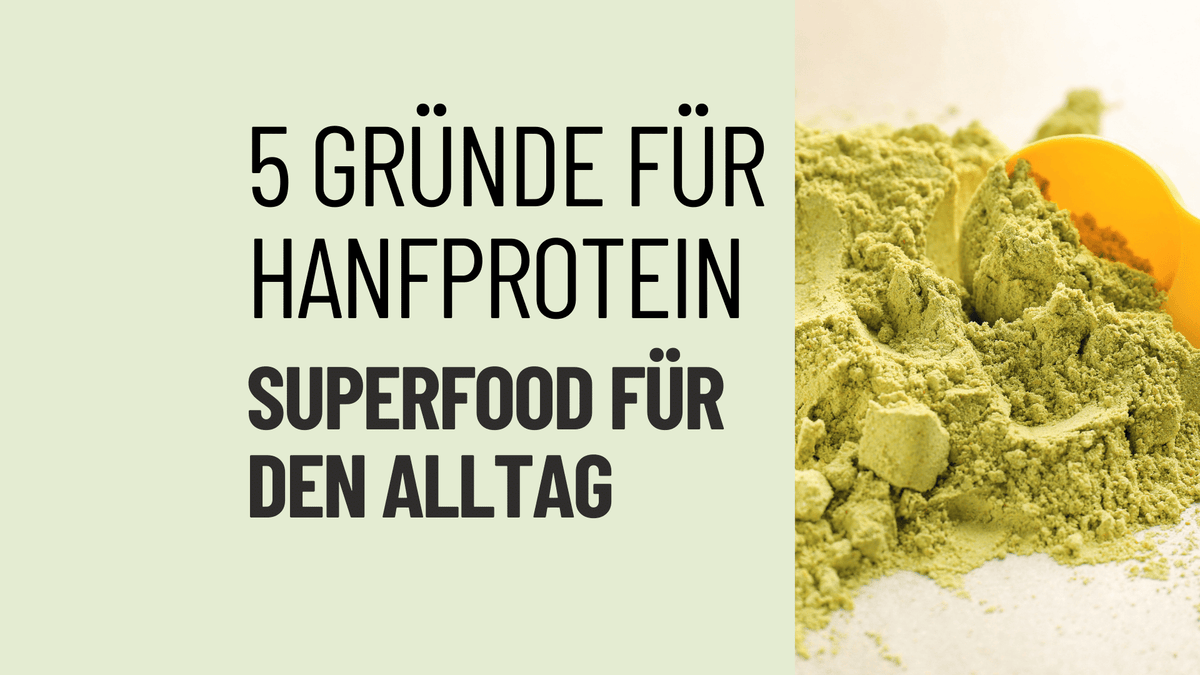 5 Gründe für Hanfprotein als vegane Proteinquelle