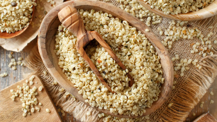 Bio Hanfsamen kaufen