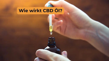 CBD Öl Erfahrungen Wirkung