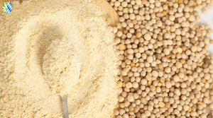 Erbsenprotein