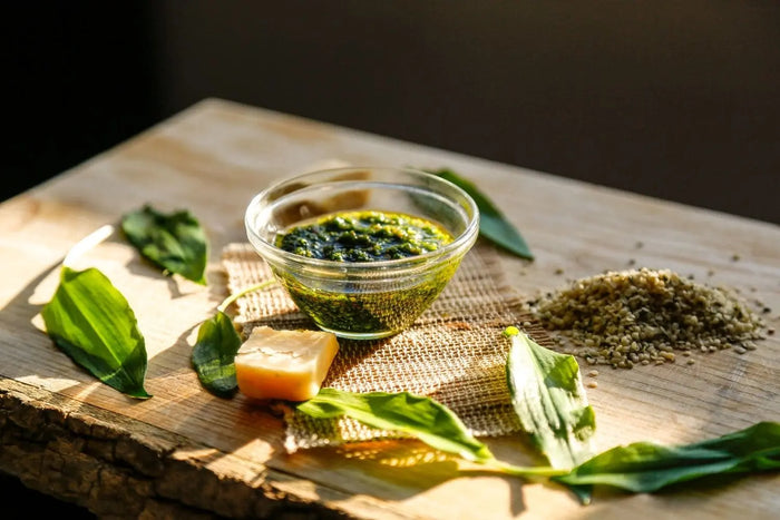 Bärlauch Pesto Rezept selber machen