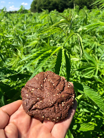 Hanf Cookies DIY