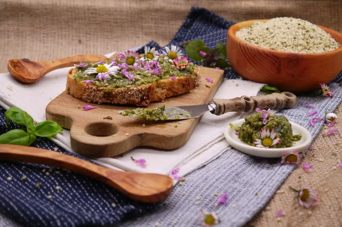 Hanf-Kräuter Brotaufstrich