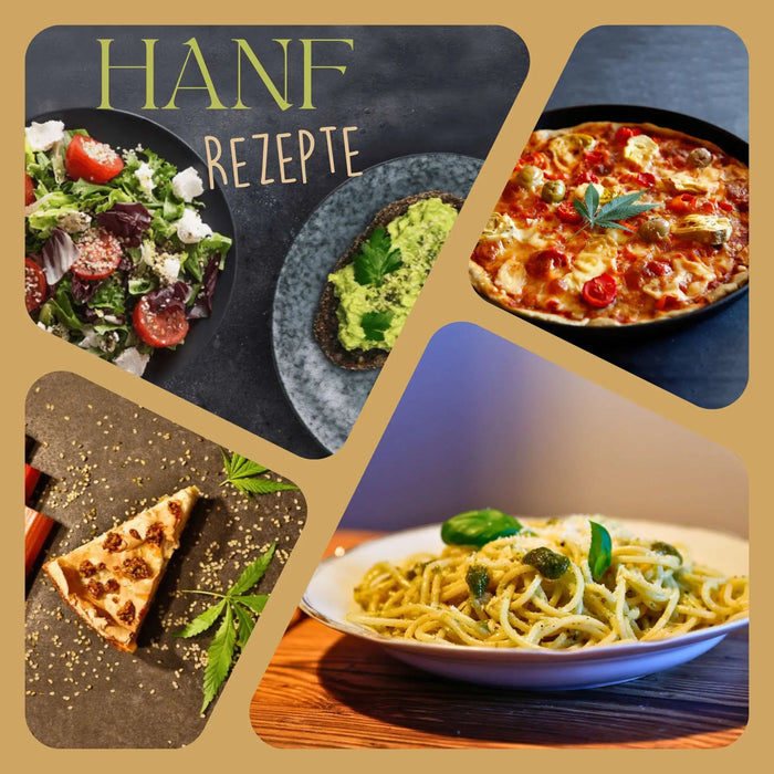 Hanfrezeptbuch Rezepte Hanfbayer