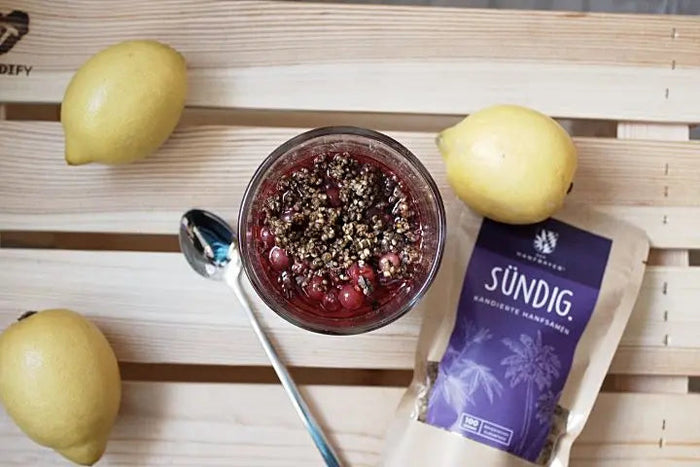 vanille pudding selber machen