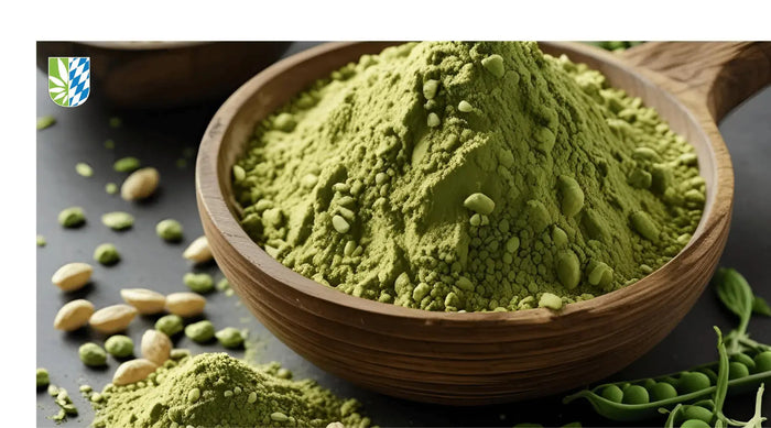 Veganes-Proteinpulver-Die-besten-pflanzlichen-Eiweißquellen-im-Vergleich Der Hanfbayer