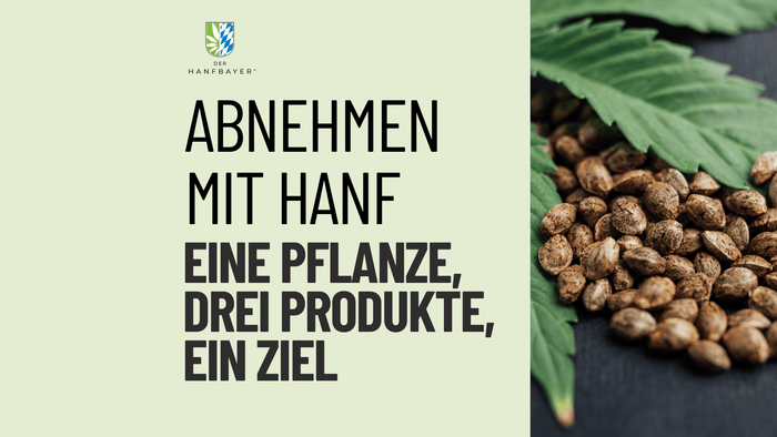 Blog Banner mit Titel 