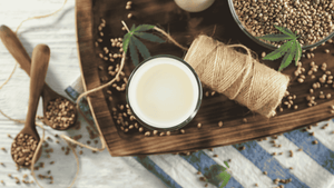 Selbgstgemachte Hanfmilch