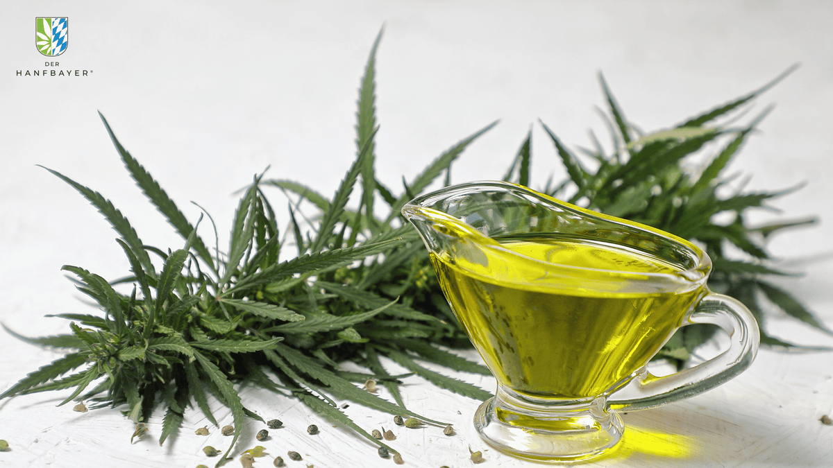 Hanföl Cholesterin Blog Banner