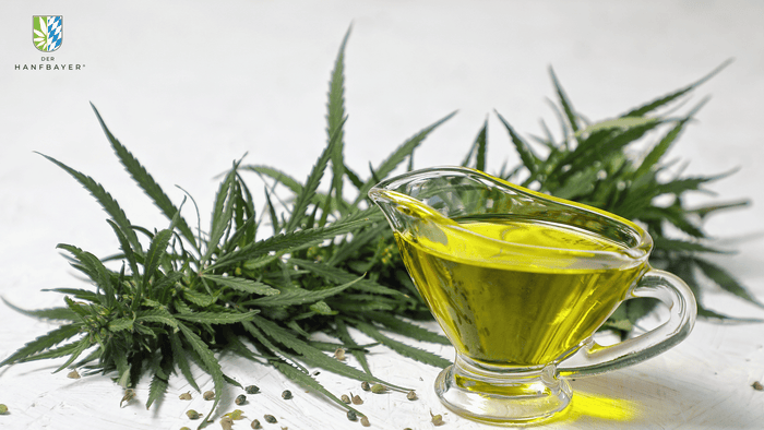 Hanföl Cholesterin Blog Banner