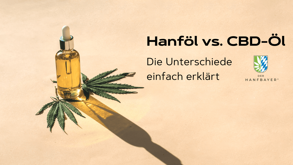 Hanföl vs. CBD-Öl Unterschiede Blog Banner