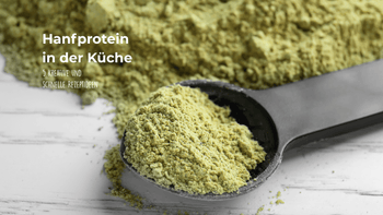 Hanfproteinshake selber zubereiten Blog Banner mit Hanfprotein auf einem Löffel