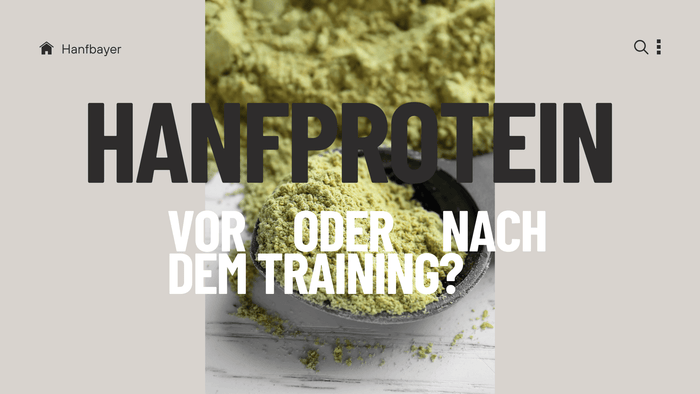 Blog Banner mit Überschrift Hanfprotein vor oder nach dem  Training?