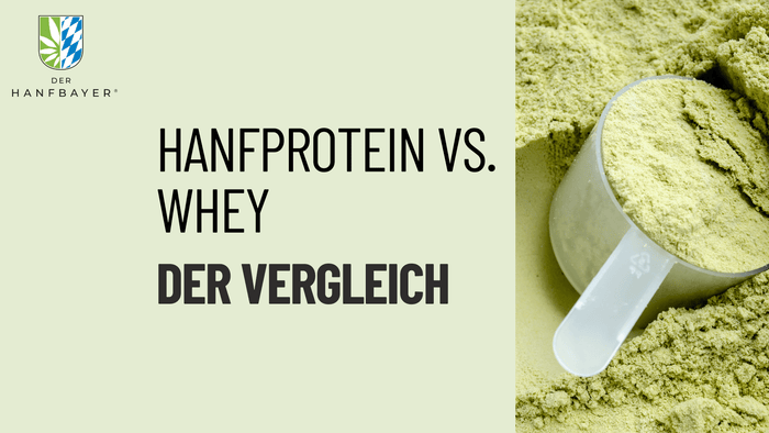 Blog Banner mit Übeschrift Hanfprotein vs. Whey