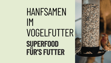 Auf dem Foto ist eine Futterstation für Vögel und zwei Vögel beim futtern zu sehen.