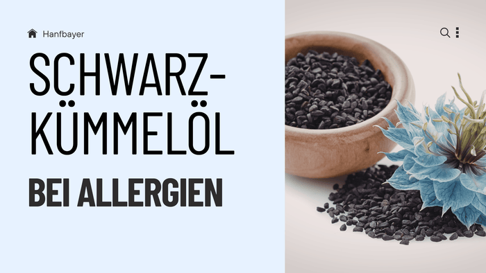 Blog Banner mit Überschrift 