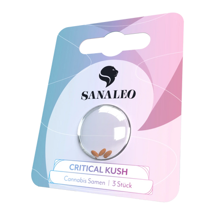 Cannabis Autoflower Samen