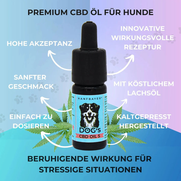 CBD Öl Hunde