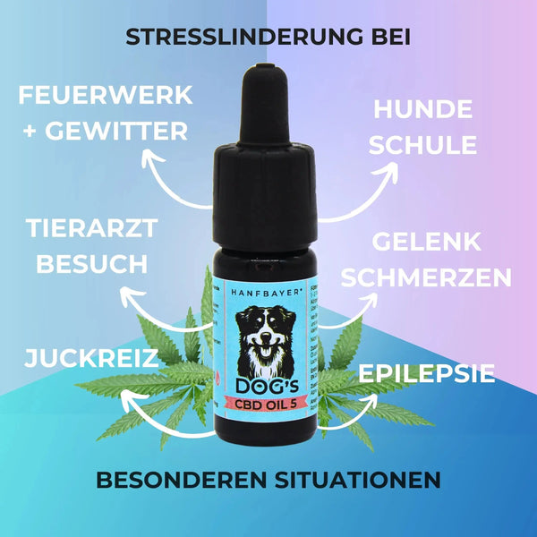 Wirkung CBD Öl Hunde