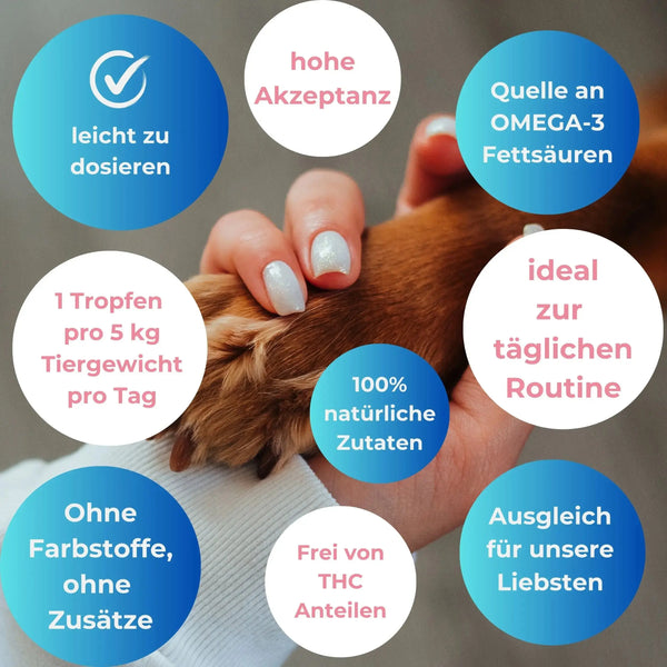 Anwendung CBD Öl Hund