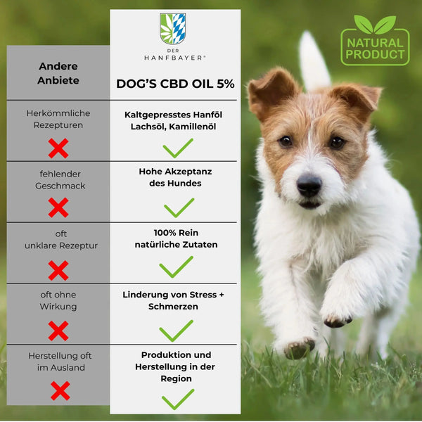 Hanfbayer Vorteile CBD Öl Hund
