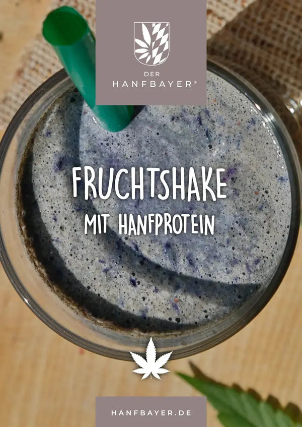 Hanfprotein Shake