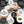 Hanfprotein | Bio & vegan | KRÄFTIG.