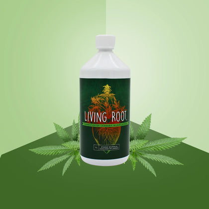 cannabis dünger anfänger