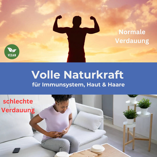 Bio Schwarzkümmelöl Naturkraft