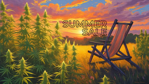 SUMMERSALE Hanfbayer 2025