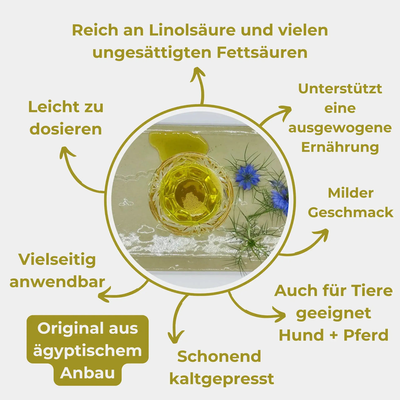Bio Schwarzkümmelöl Anwendung